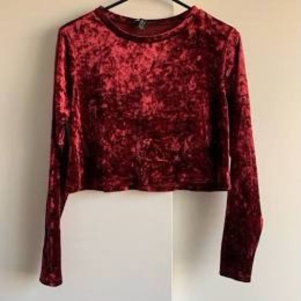 Forever 21 Red Velvet Top
